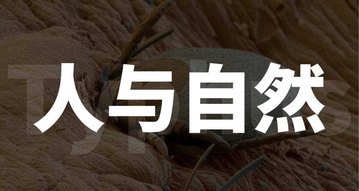 跳蚤叮咬導致休斯頓男子截肢