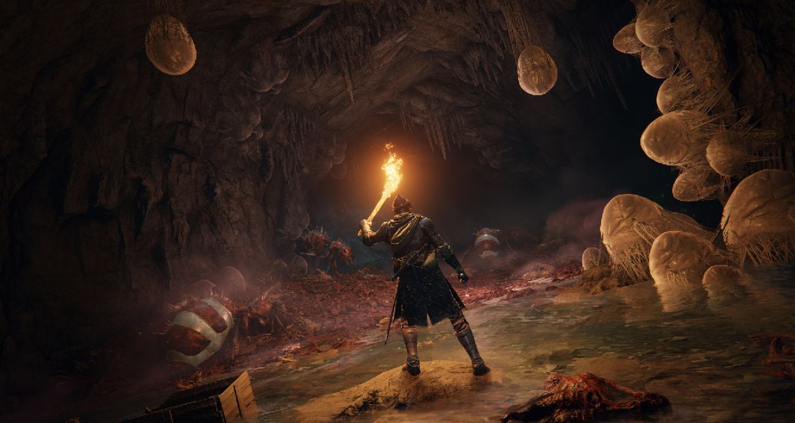 TGA年度最佳游戏《艾尔登法环》低价区价格暴涨！