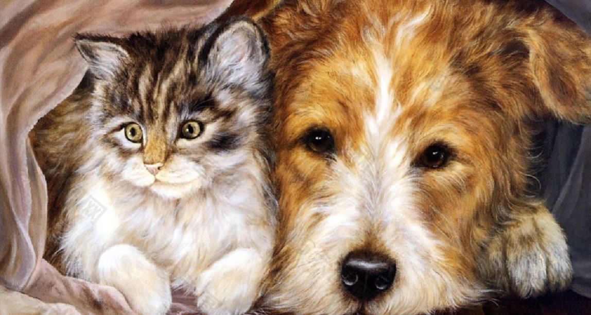 宠物掘金大战，猫狗一生或消费20万你家宠物一年花多少？