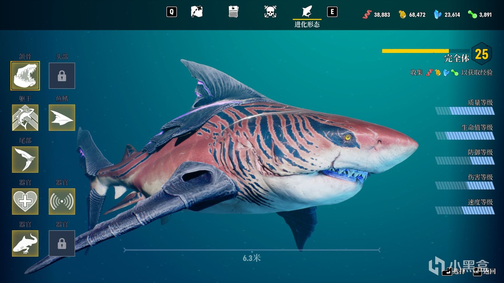 《食人鲨》：探索深海，伺机复仇-第5张