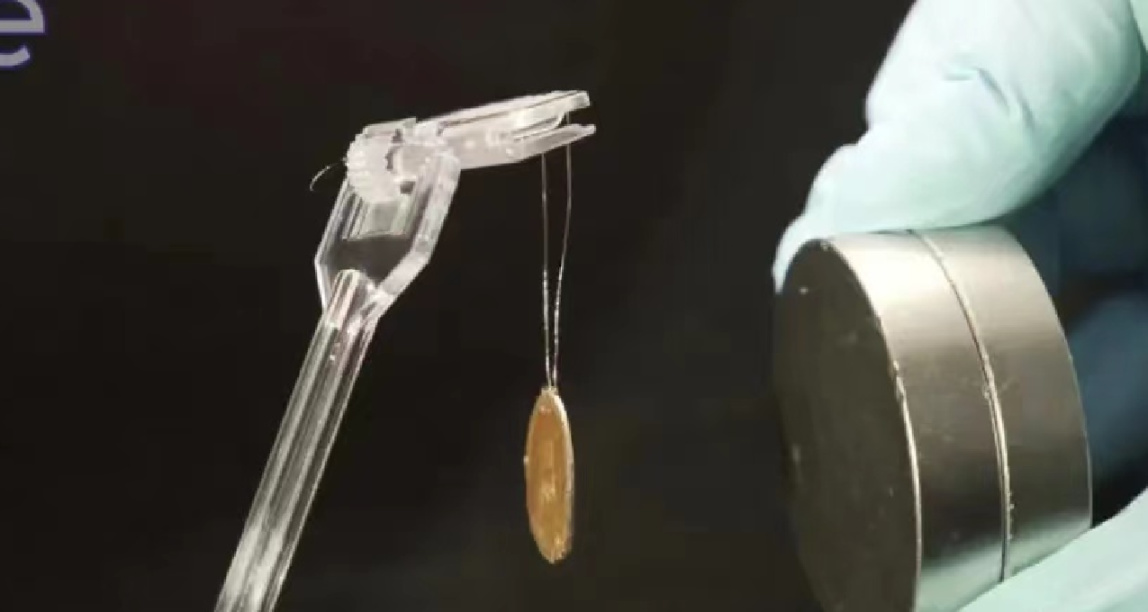 8月1日室温超导最新进展：理论上看好，实验上失败