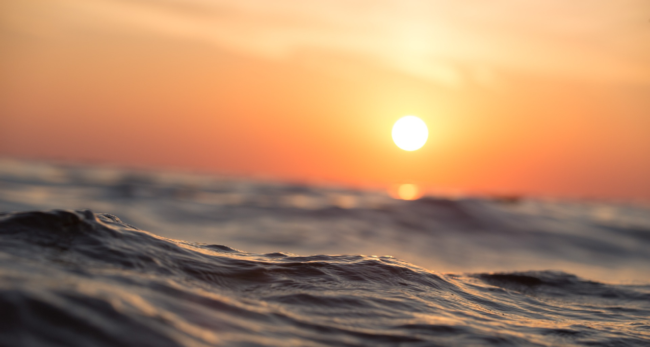 戒手機5天后，我的生活開始轉折！（手把手教你自律）