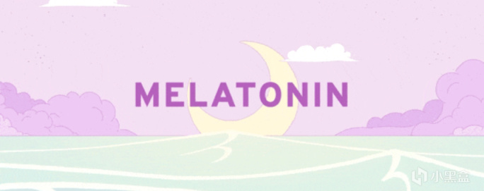 《MELATONIN》:類節奏天國的存在-第0張