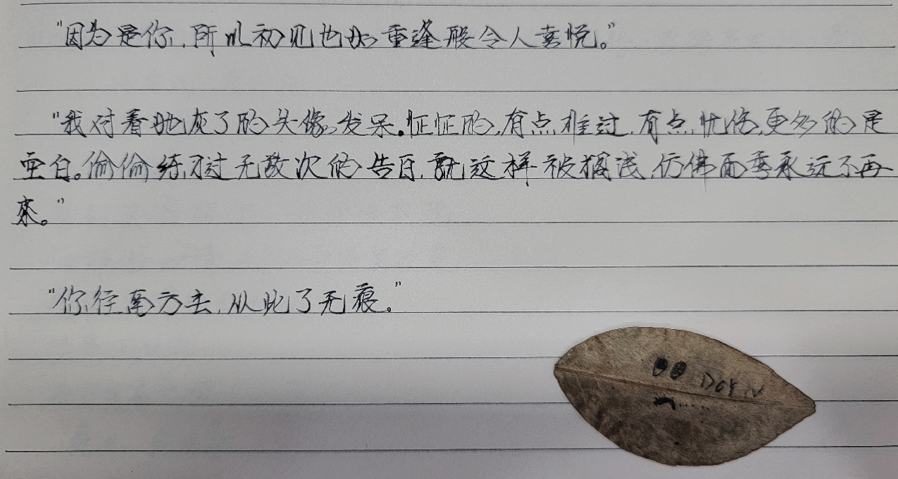 你往南方去，从此了无痕