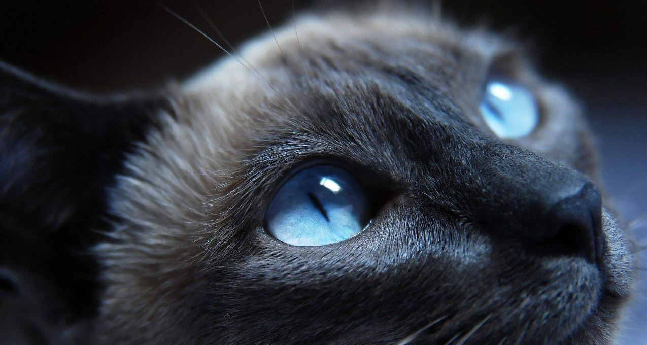 我们眼中的世界，本就不同