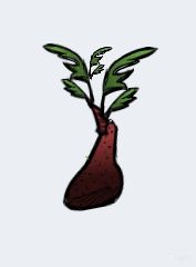 【PC游戏】[缺氧]  植物全攻略  让你的小人衣食无忧  万字攻略-第20张
