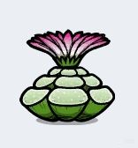 【PC游戏】[缺氧]  植物全攻略  让你的小人衣食无忧  万字攻略-第6张