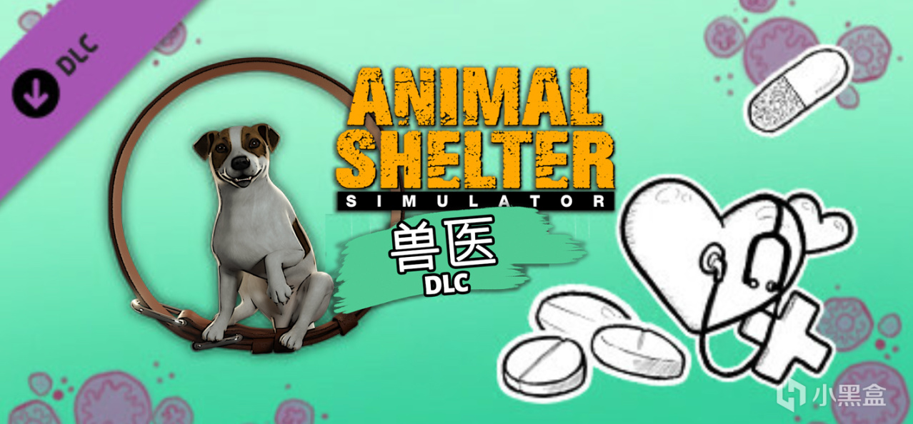 《动物收容所》之「兽医DLC」8月13日邀你来玩！🧑‍⚕️🩺-第0张