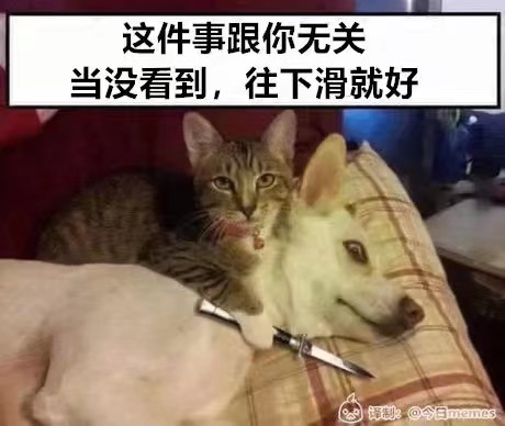 【沙雕日常】深夜梗图抽象meme表情包合集（3）-第12张