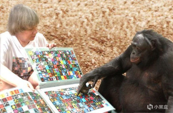 【PC遊戲】猿神，啟動!世界上最聰明的黑猩猩學會了玩《我的世界》-第2張