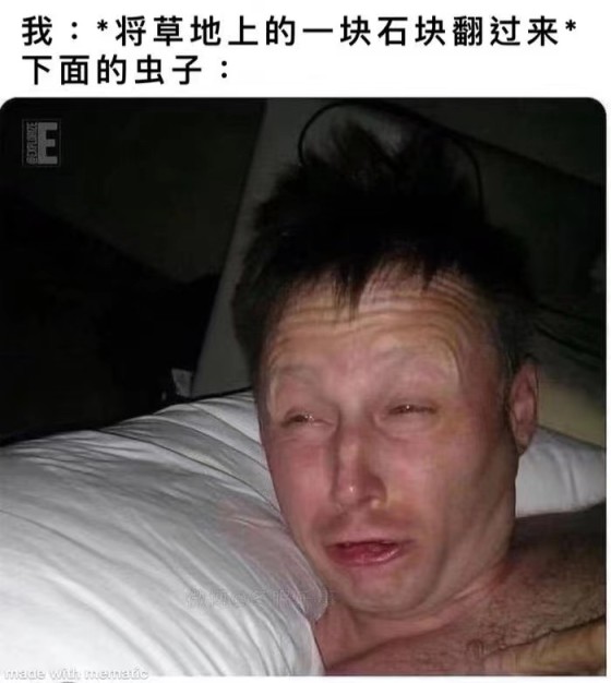 【沙雕日常】深夜梗圖抽象meme表情包合集（4）-第30張