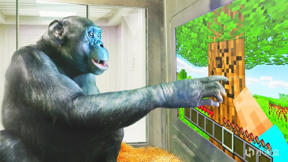 【PC游戏】猿神，启动!世界上最聪明的黑猩猩学会了玩《我的世界》-第5张