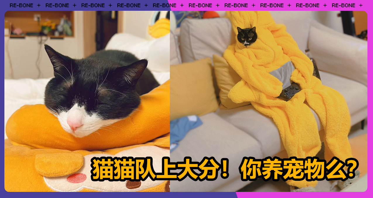 無事發生，來點貓！寵物行業白皮書稱我國養貓人羣已超養狗人羣！