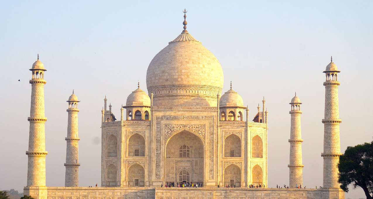 【如何】去了印度，怎麼在印度開車