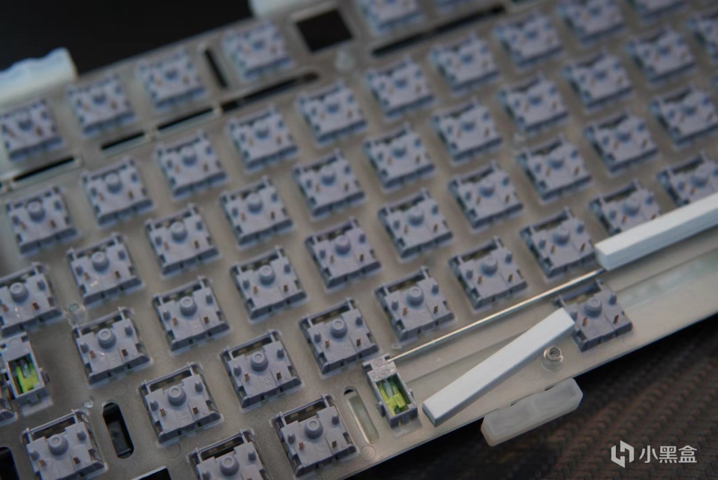 达摩鲨首款GASKET结构键盘上线！