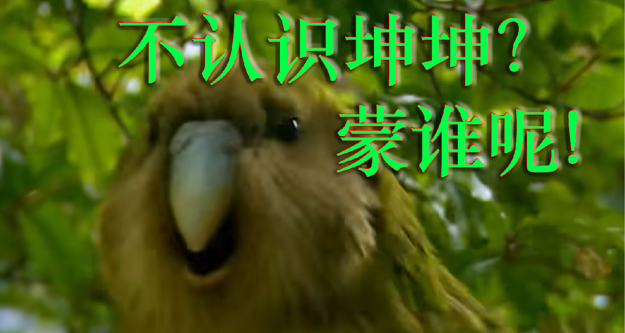 笑死！同樣是鳥：爲了號鸚鵡製作遊戲的製作人，居然不認識坤坤