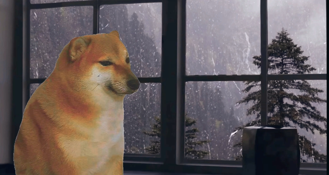 再見了！所有的廢柴狗——著名錶情包柴犬cheems本尊於18號去世