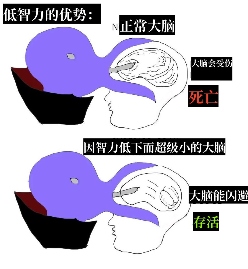 游戏memes大赏：博德之门3专题-第26张