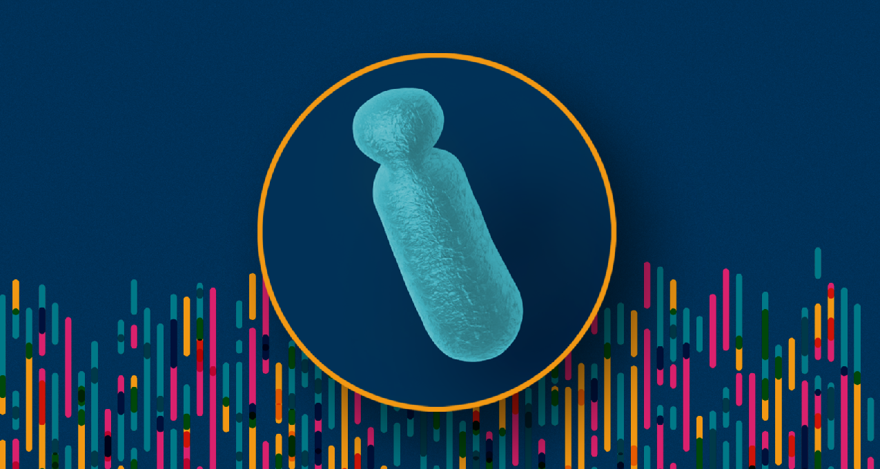 人類Y染色體首次破譯成功，將有助於男性健康！