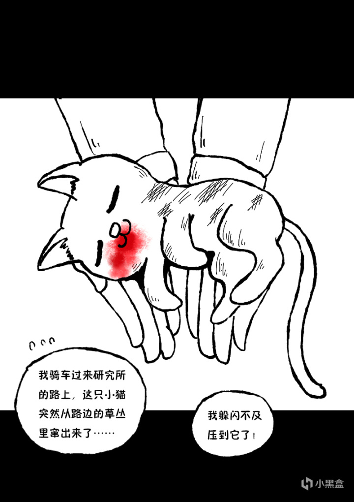 【情投一盒】十万火急！拯救被自行车压到的猫猫！-第4张