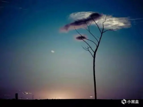 【大一新生须知】那些没人会告诉你的事情：学习篇，经验之谈