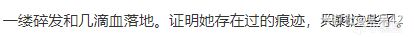 【1.3版本考据】白珩和刃是姐弟恋？猜测【饮月之乱】完整剧情-第24张