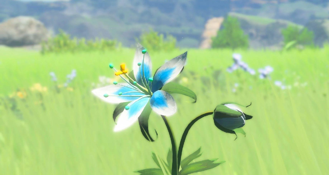 談談我的電子YW治癒之路