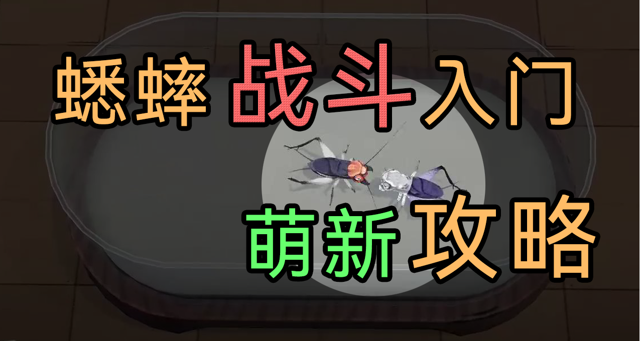 《沉默的蟋蟀》| 蟋蟀战斗入门速成班，手把手的新手教学！