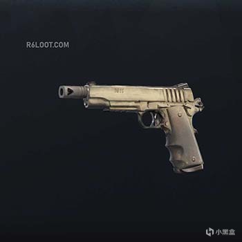 《彩虹六號：圍攻》槍械的原型介紹 第五期-第47張
