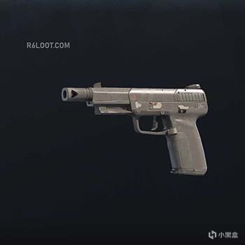 《彩虹六號：圍攻》槍械的原型介紹 第五期-第46張