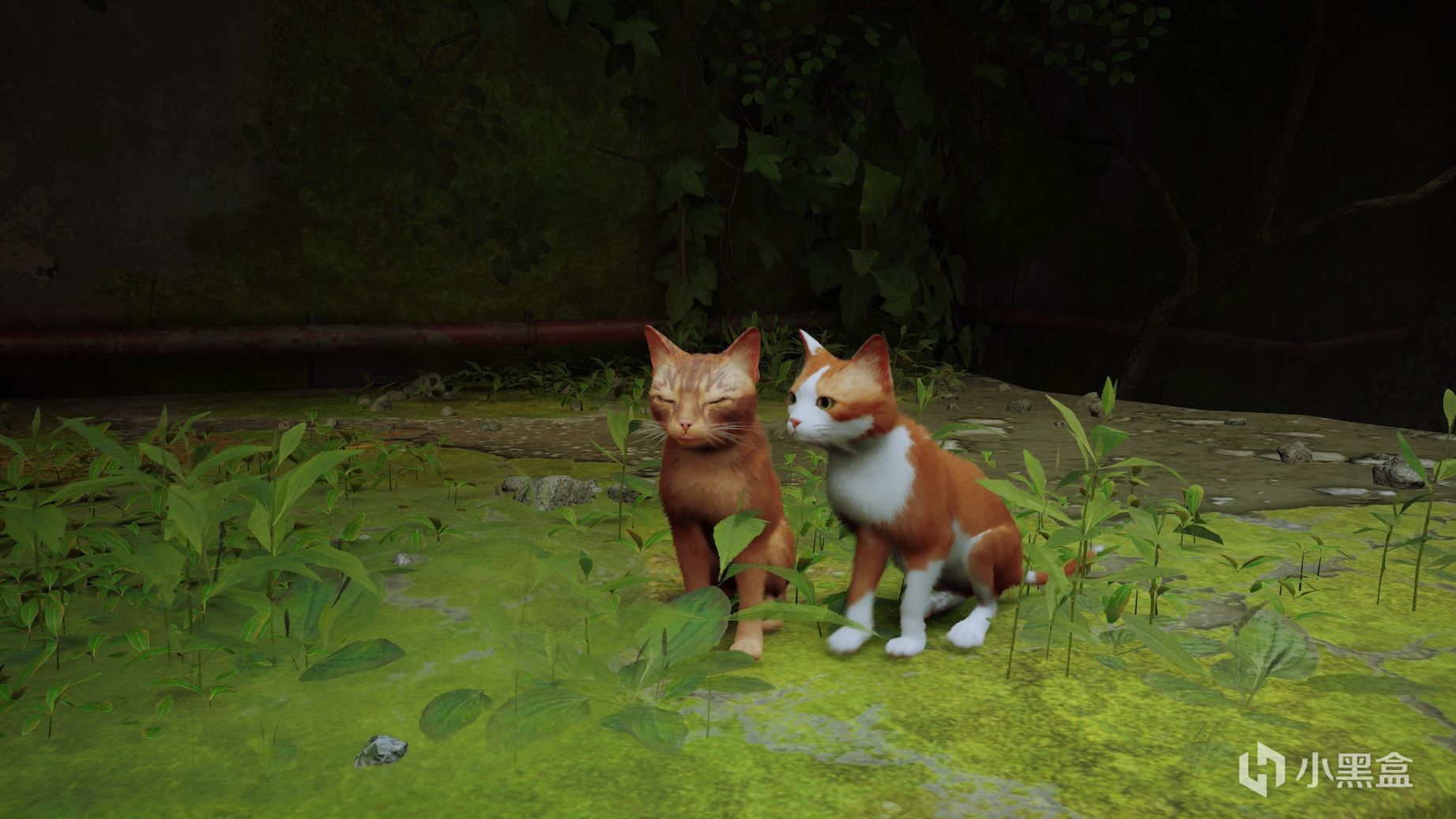 【PC游戏】猫咪版散步模拟器？真实的流浪猫体验——2077猫之城-第5张