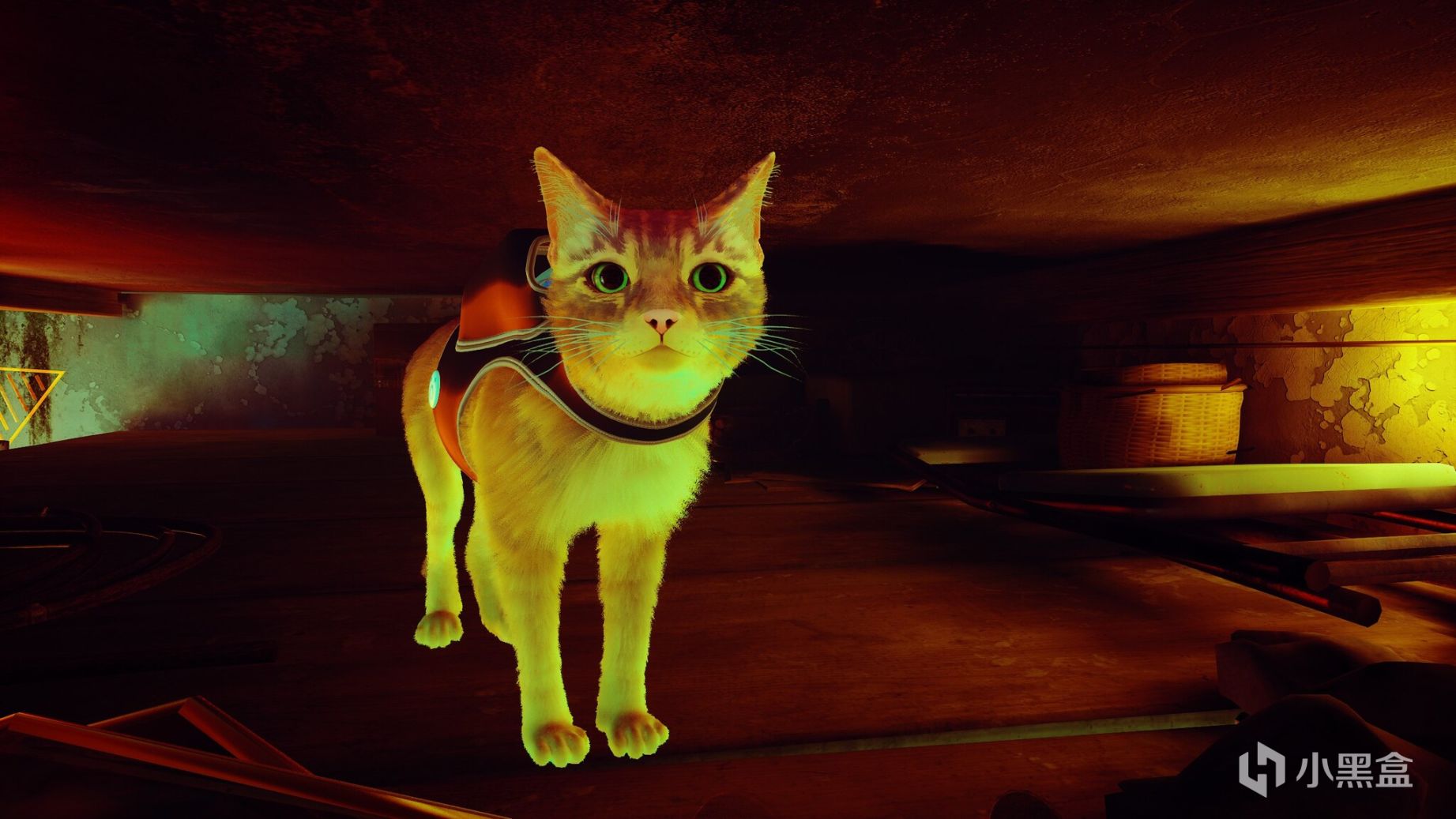 【PC游戏】猫咪版散步模拟器？真实的流浪猫体验——2077猫之城-第6张