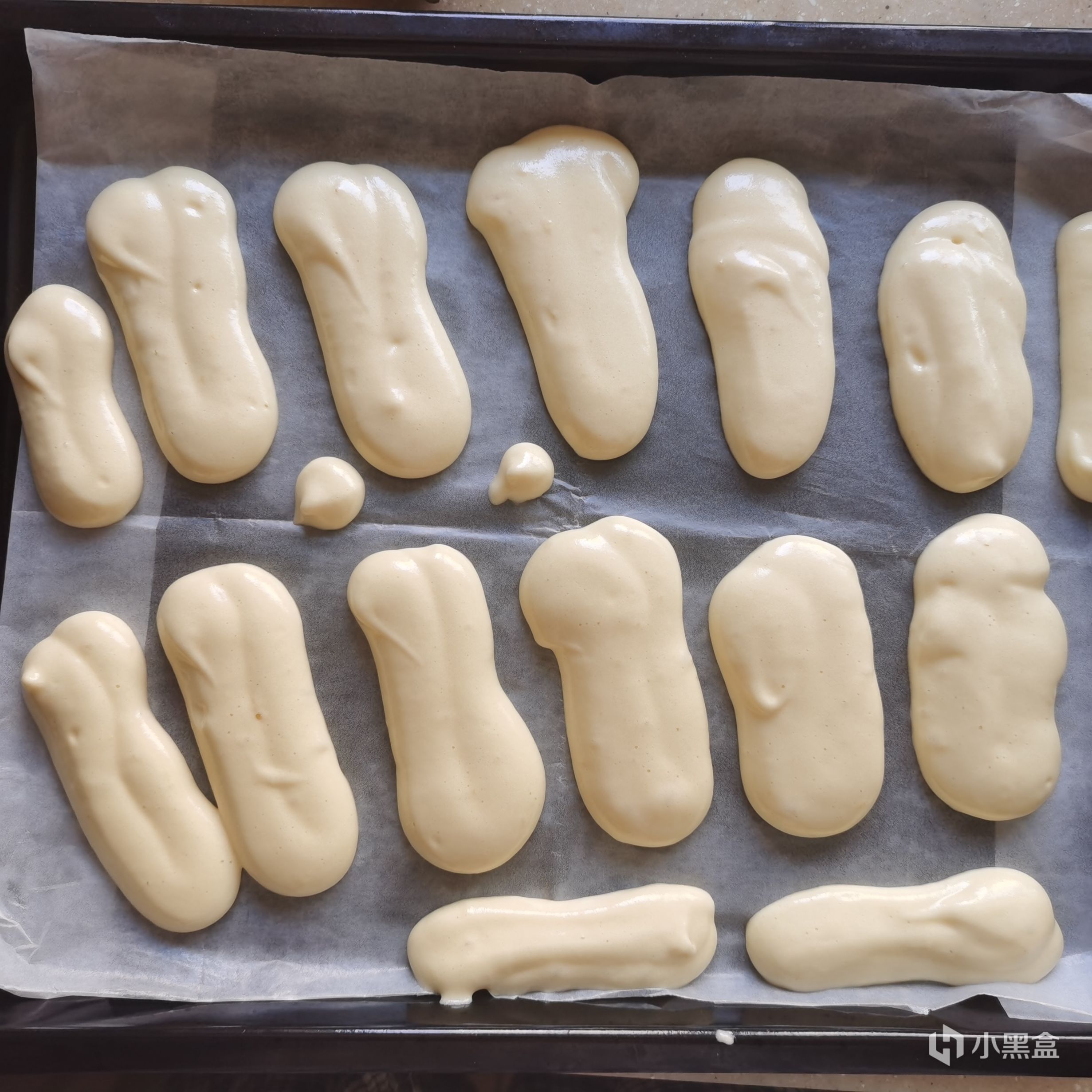 【小饭盒】我制作的100种味道·提拉米苏（Tiramisu·手指饼干·饭盒装）-第13张