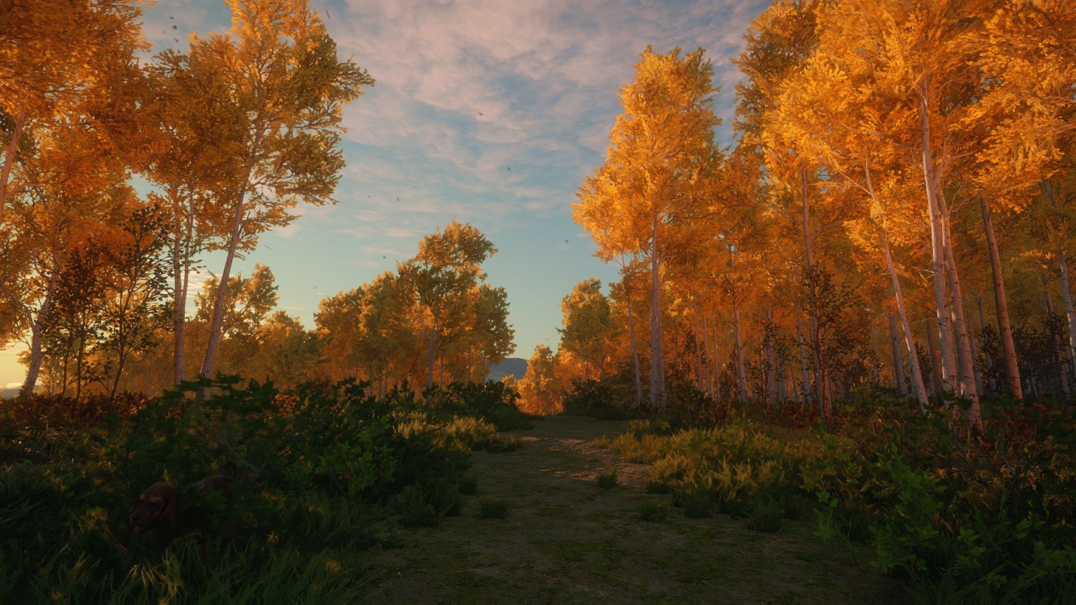 《猎人：荒野的召唤》——DLC推荐指南（二）-第21张