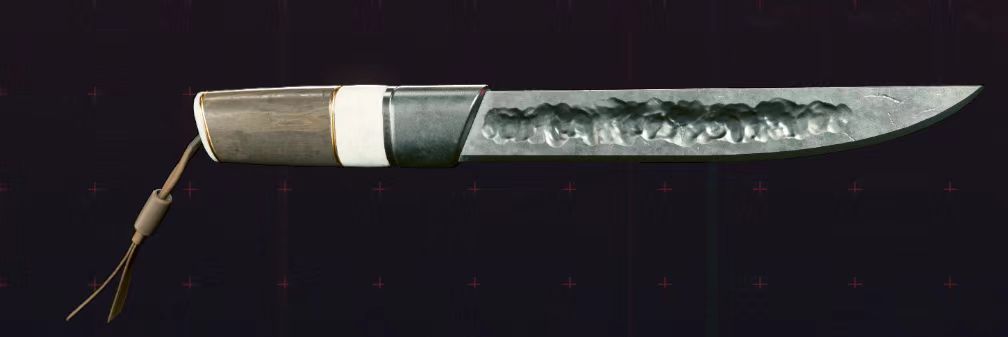 《赛博朋克2077》不朽武器收集——投掷武器篇-第18张
