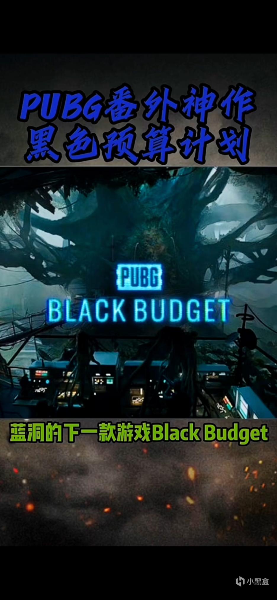【絕地求生】PUBG黑色預算，藍洞新作！-第0張