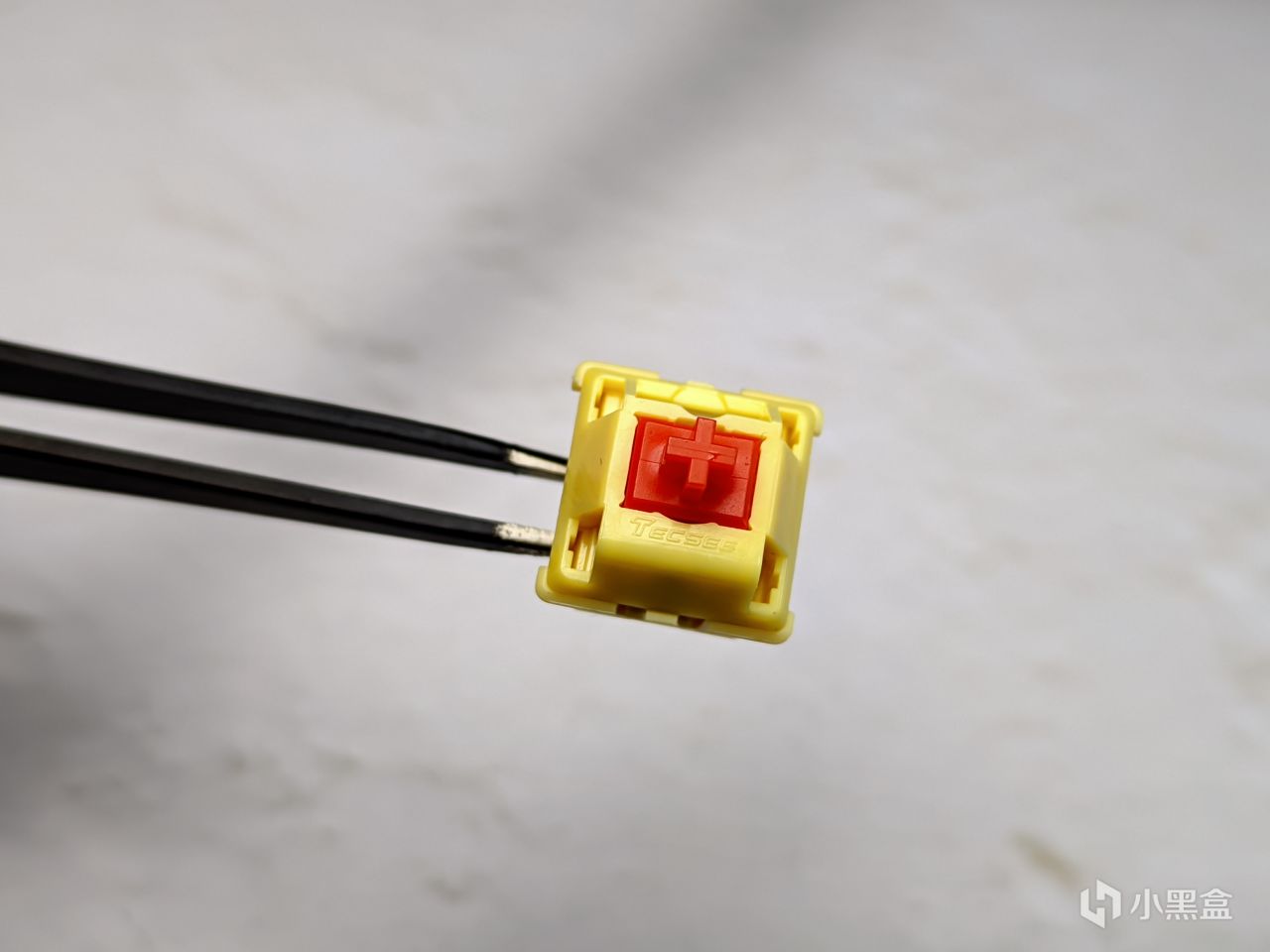 【球盟会】【琥珀的轴体评测8】TEC 枫叶轴及MZ Y1轴小黑盒首发