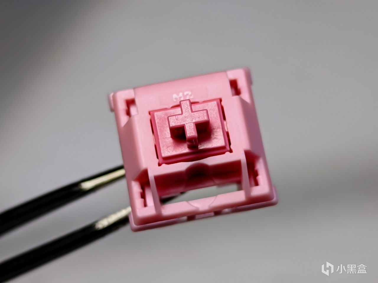 【球盟会】【琥珀的轴体评测8】TEC 枫叶轴及MZ Y1轴小黑盒首发