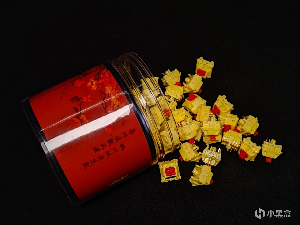 【球盟会】【琥珀的轴体评测8】TEC 枫叶轴及MZ Y1轴小黑盒首发