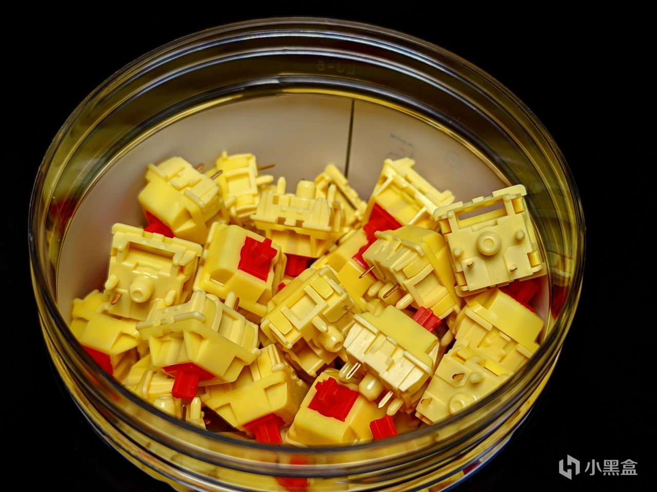 【球盟会】【琥珀的轴体评测8】TEC 枫叶轴及MZ Y1轴小黑盒首发