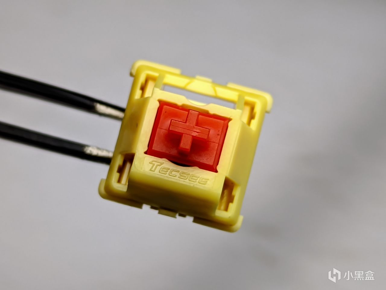 【球盟会】【琥珀的轴体评测8】TEC 枫叶轴及MZ Y1轴小黑盒首发