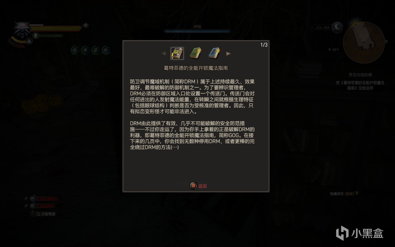 【PC遊戲】投票巫師三上百小時仍可能錯過的隱藏任務（群島篇下）（無劇透）-第20張