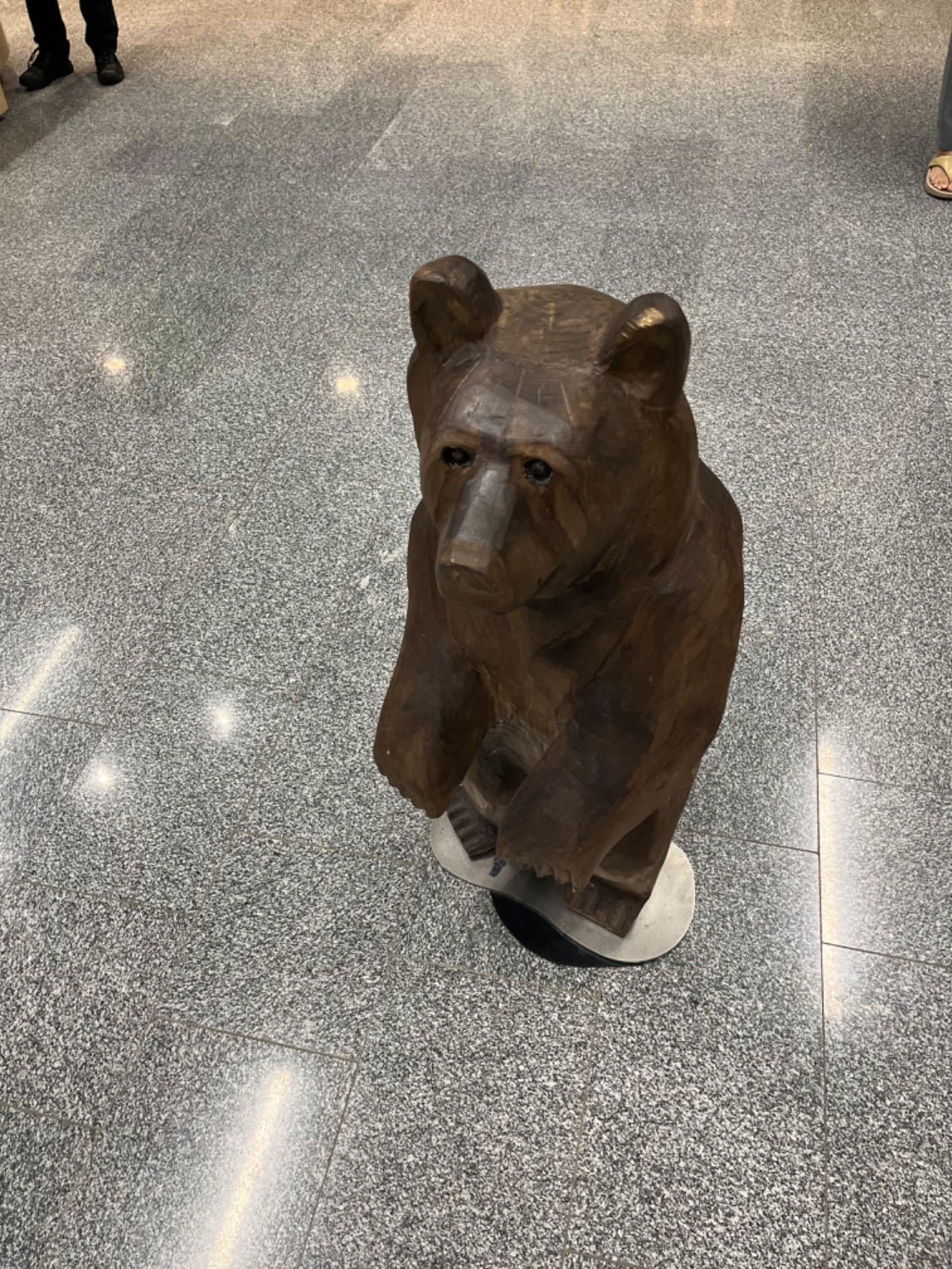 【球盟会】欧洲交换生学习与生活第二期：乘坐国际航班初体验及注意事项