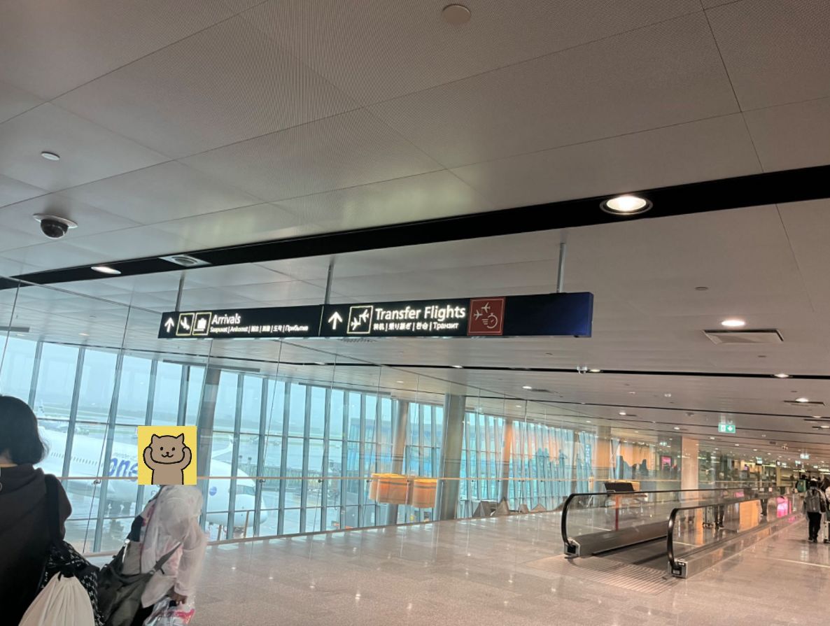 【球盟会】欧洲交换生学习与生活第二期：乘坐国际航班初体验及注意事项