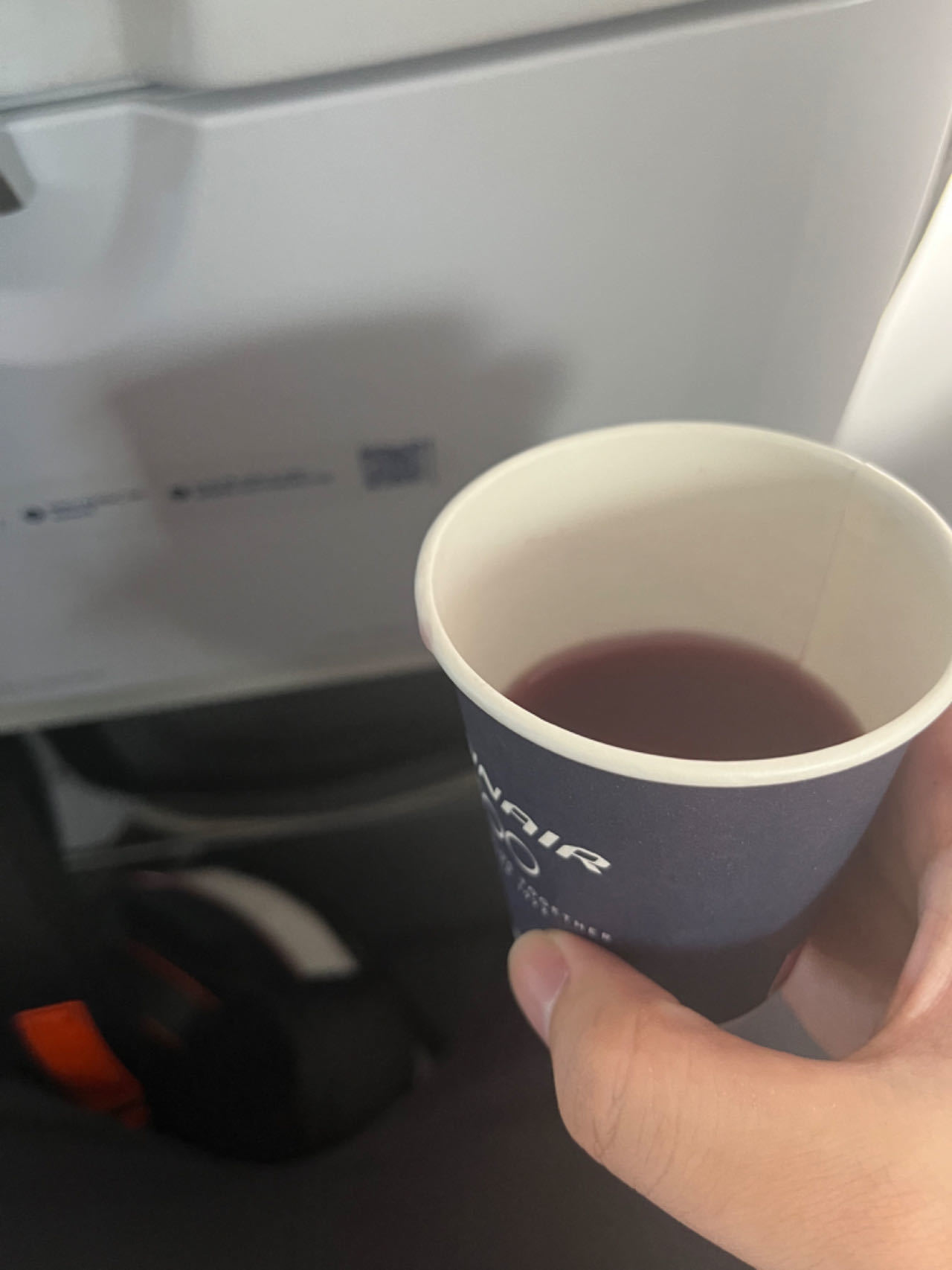 【球盟会】欧洲交换生学习与生活第二期：乘坐国际航班初体验及注意事项