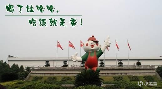 喝了哇哈哈，吃饭就是香——娃哈哈的励志传奇！