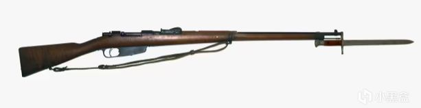 《从军》旧时代的残党——卡尔卡诺 M1981-第2张