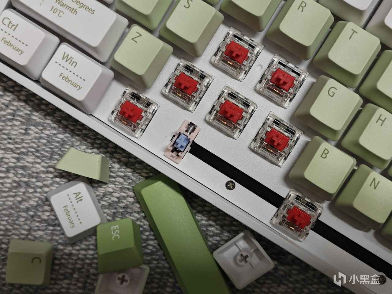 【球盟会】春去春来春不败!给大家开个春意十足的小清新键盘——赤暴HW68。