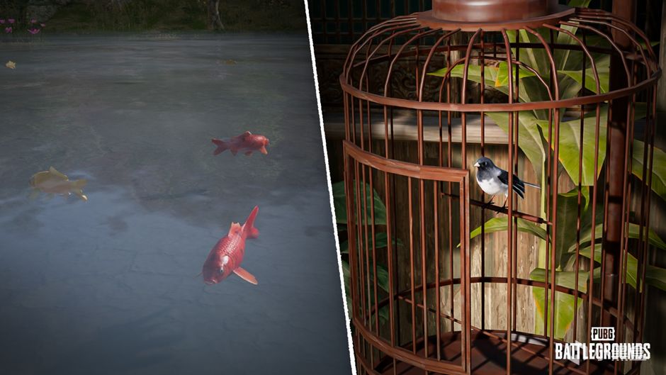 【絕地求生】除了維寒迪的熊，榮都的魚和鳥，大家還希望地圖中加入什麼呢？-第2張