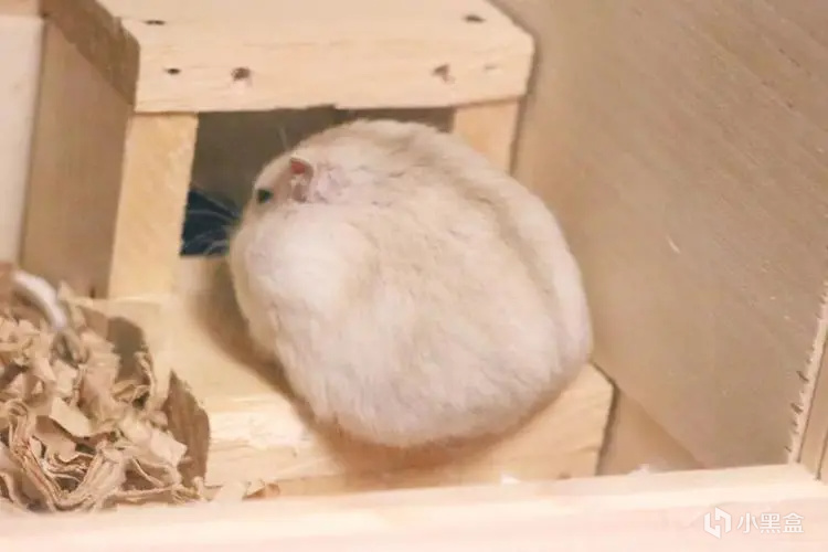 为什么经常熬夜容易患癌？最新研究找到了致癌原因